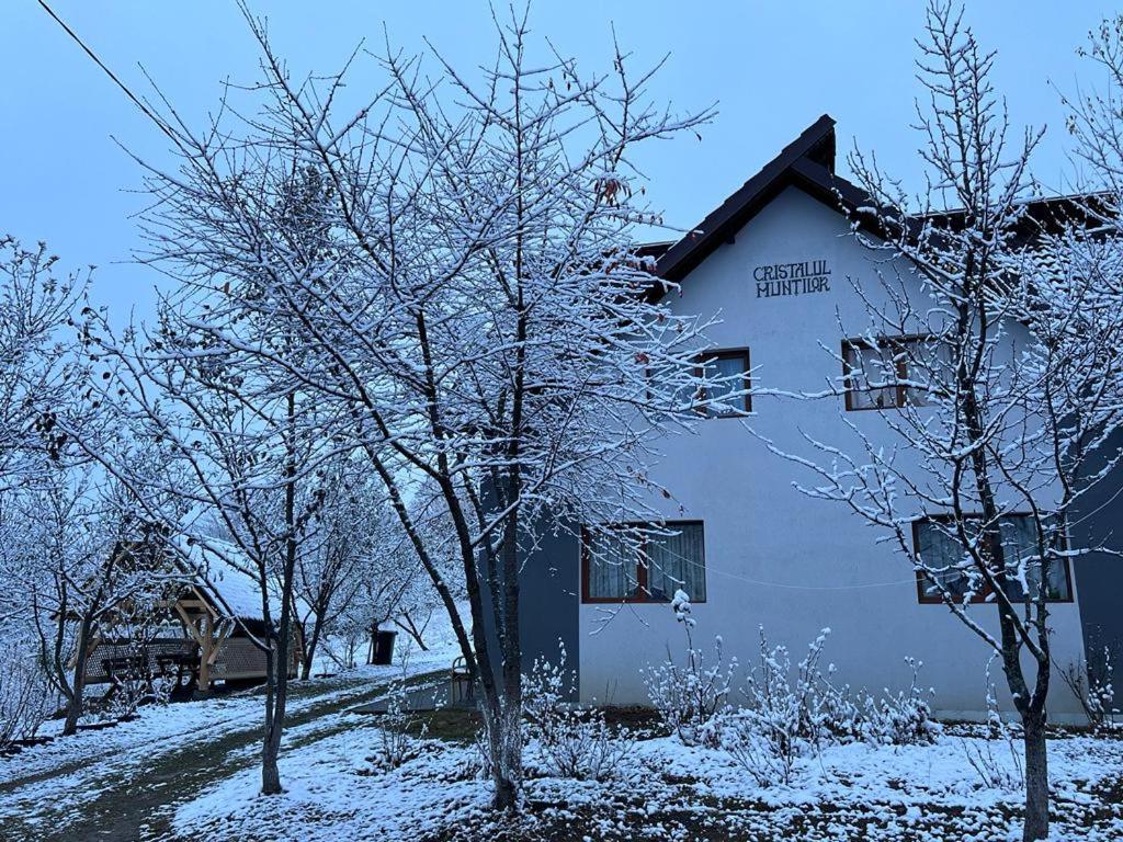 Hotel Casa Cristalul Muntilor Poiana Mărului Exterior foto