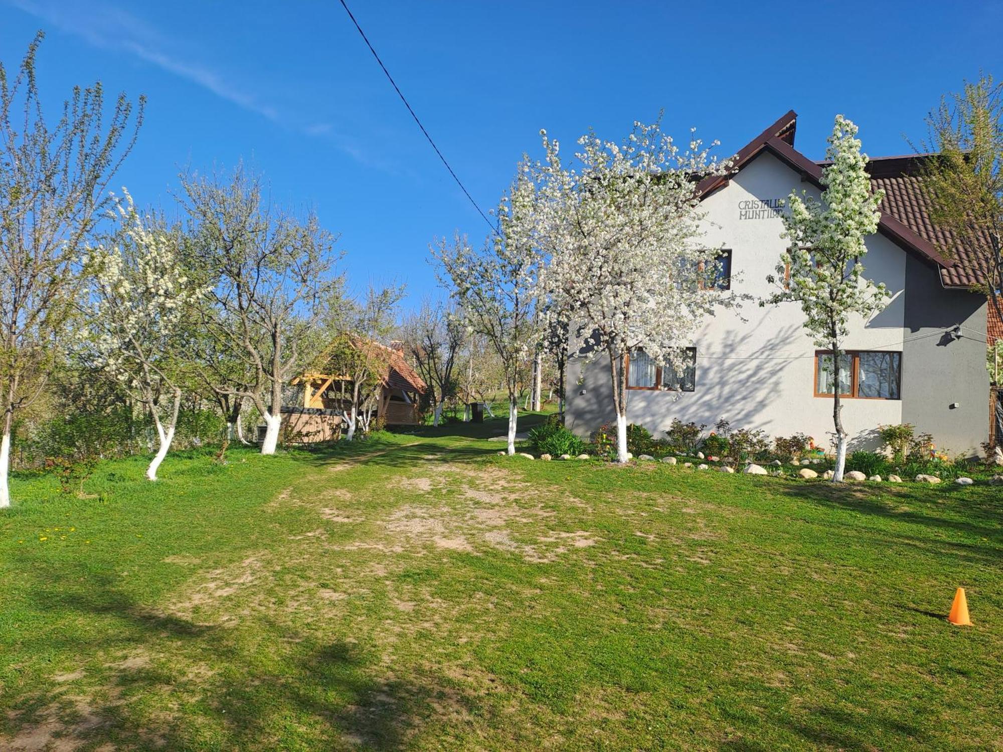 Hotel Casa Cristalul Muntilor Poiana Mărului Exterior foto